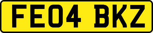 FE04BKZ