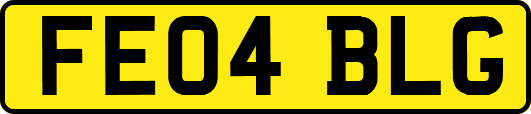 FE04BLG