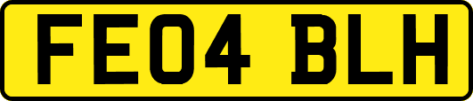 FE04BLH