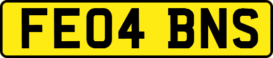 FE04BNS