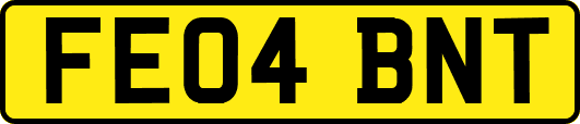 FE04BNT