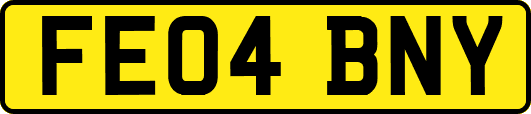 FE04BNY
