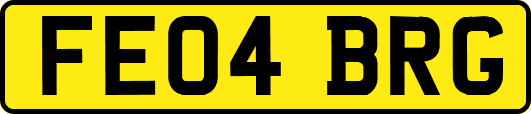 FE04BRG