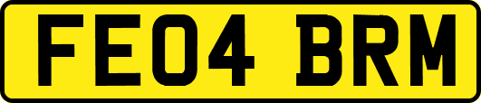 FE04BRM