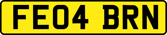FE04BRN