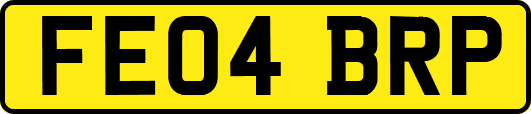 FE04BRP