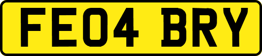 FE04BRY