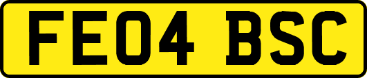 FE04BSC