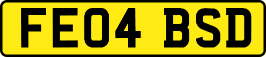 FE04BSD