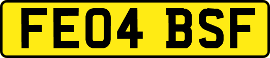FE04BSF