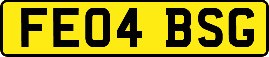 FE04BSG