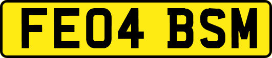 FE04BSM