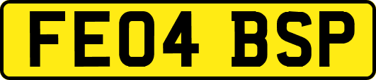 FE04BSP