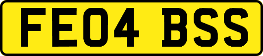 FE04BSS