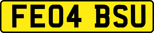 FE04BSU