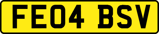 FE04BSV