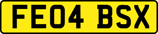 FE04BSX