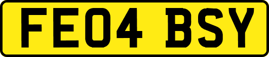 FE04BSY