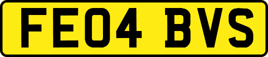 FE04BVS