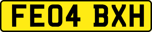 FE04BXH