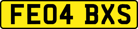 FE04BXS