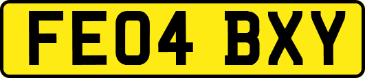 FE04BXY