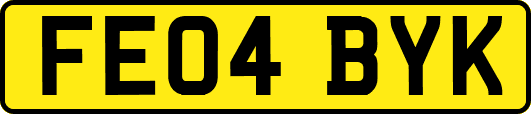 FE04BYK