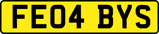 FE04BYS