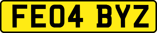 FE04BYZ