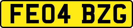 FE04BZG