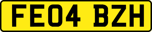 FE04BZH
