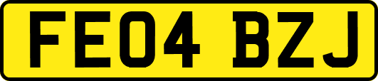 FE04BZJ