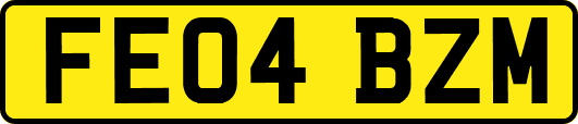 FE04BZM