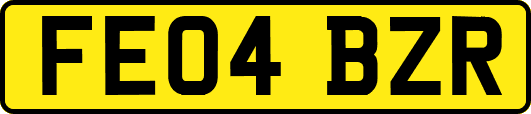 FE04BZR