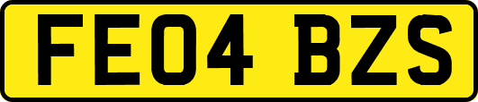FE04BZS