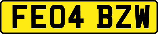 FE04BZW