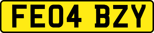 FE04BZY