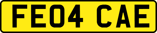 FE04CAE