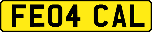 FE04CAL