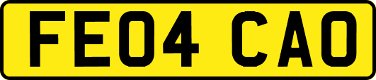 FE04CAO