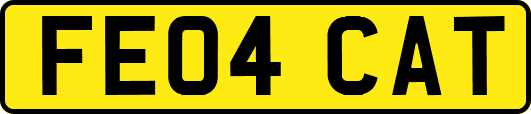 FE04CAT