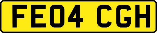 FE04CGH
