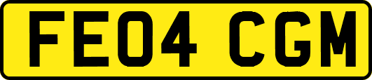 FE04CGM