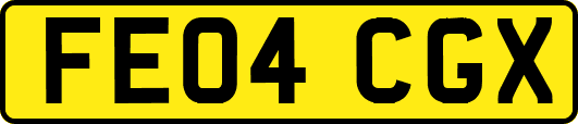 FE04CGX