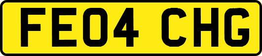 FE04CHG