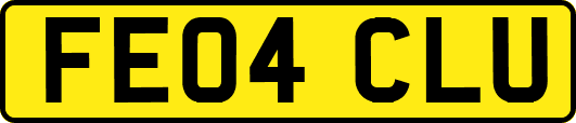 FE04CLU