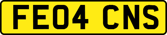 FE04CNS