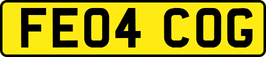 FE04COG