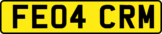 FE04CRM