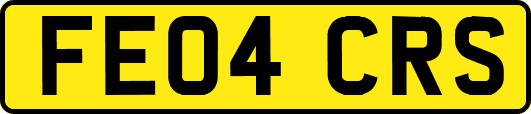FE04CRS